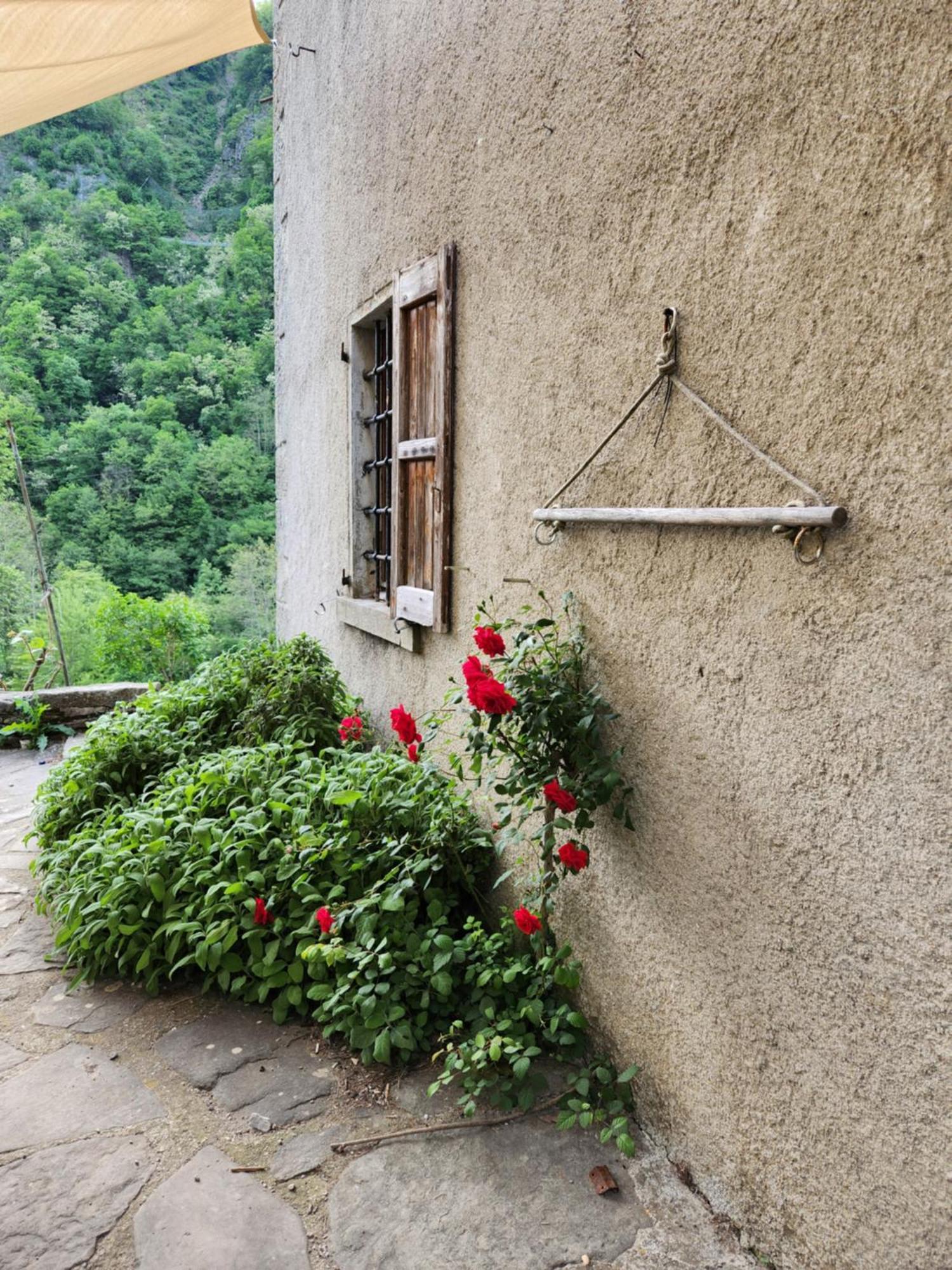 Contea Del Piano Villa Piteglio Dış mekan fotoğraf