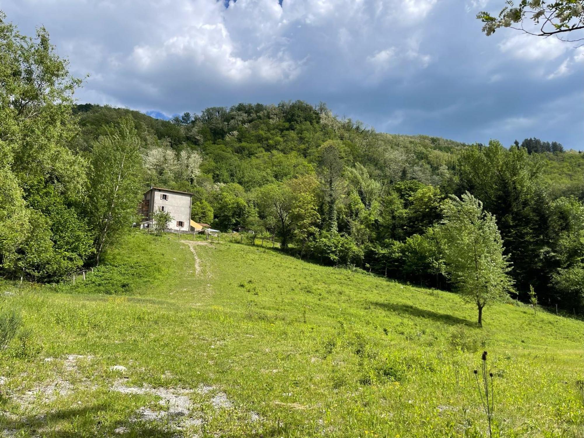 Contea Del Piano Villa Piteglio Dış mekan fotoğraf
