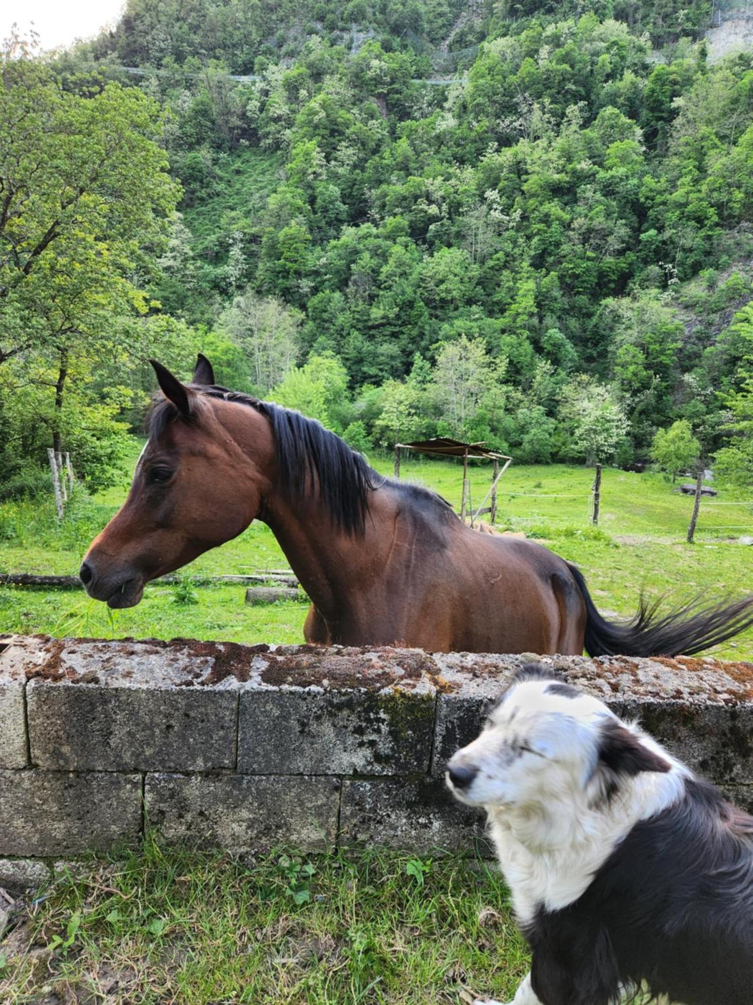 Contea Del Piano Villa Piteglio Dış mekan fotoğraf