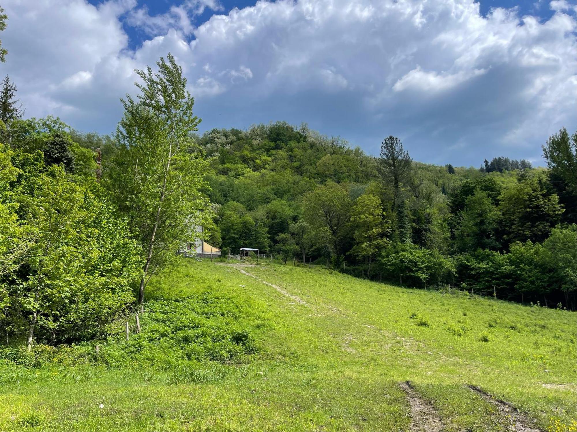 Contea Del Piano Villa Piteglio Dış mekan fotoğraf