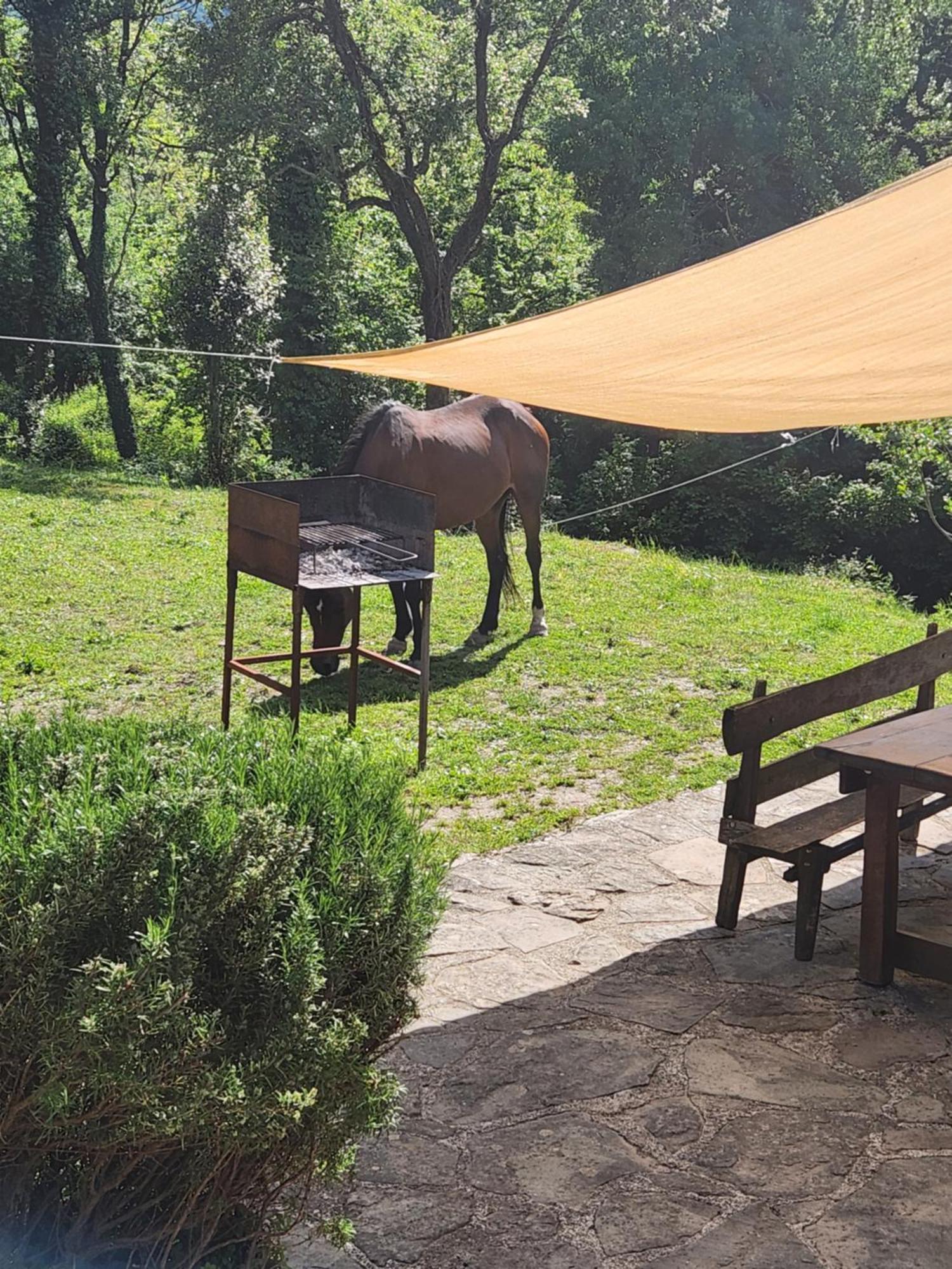Contea Del Piano Villa Piteglio Dış mekan fotoğraf